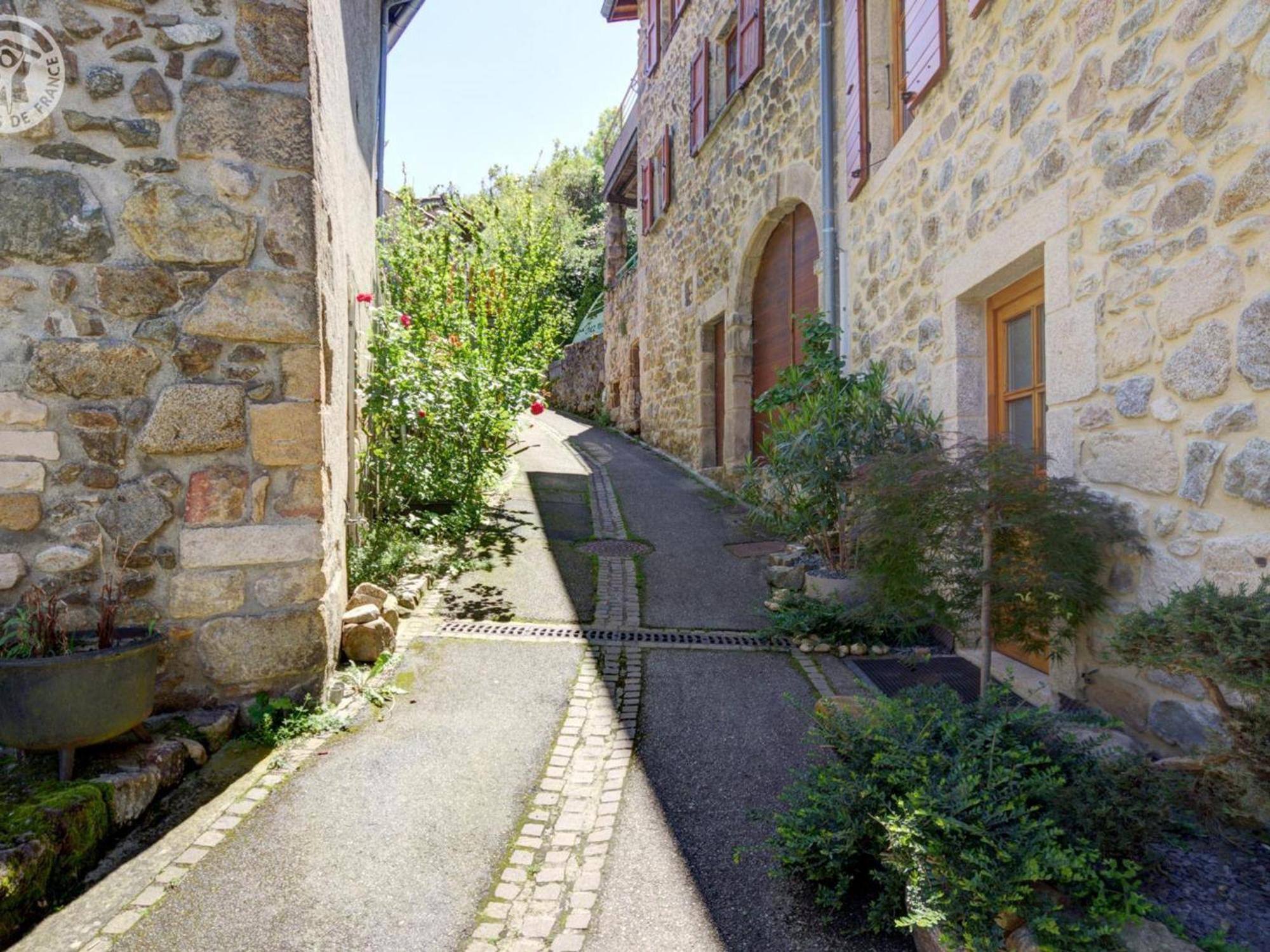 Gite De Charme Avec 2 Terrasses, Au Coeur Du Parc Du Pilat, Confortable Et Equipe - Fr-1-496-40 Malleval Exteriér fotografie